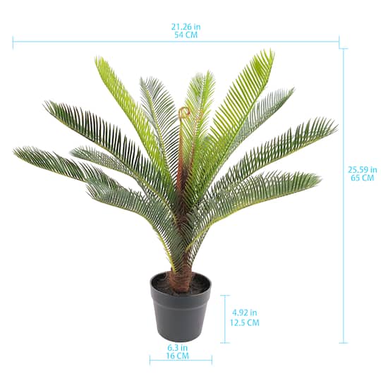 2ft. Premade Potted Sago Palm Plant by Ashland®